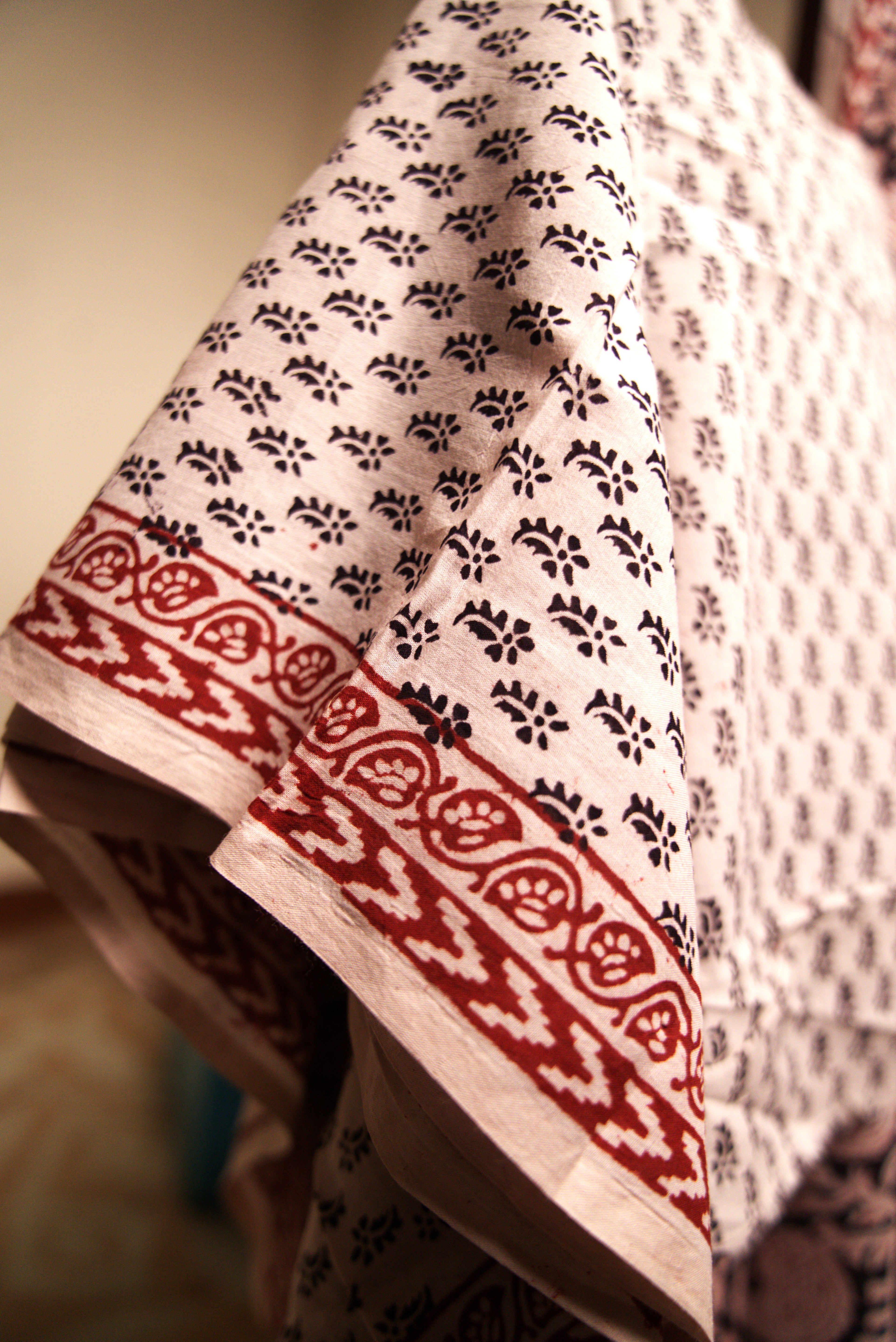 Off-White Cotton Kalamkari Sari with Red Motifs
