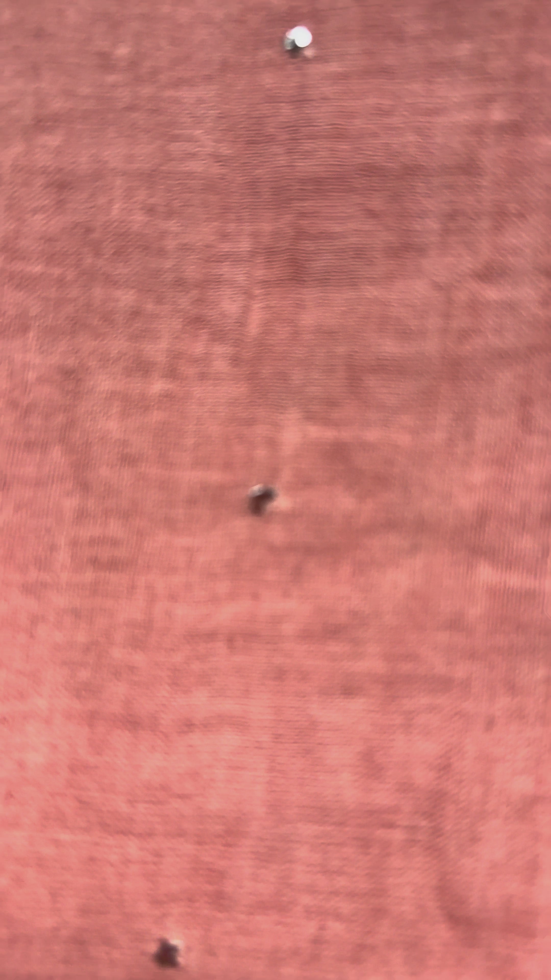 Mull Cotton with mukaish work
