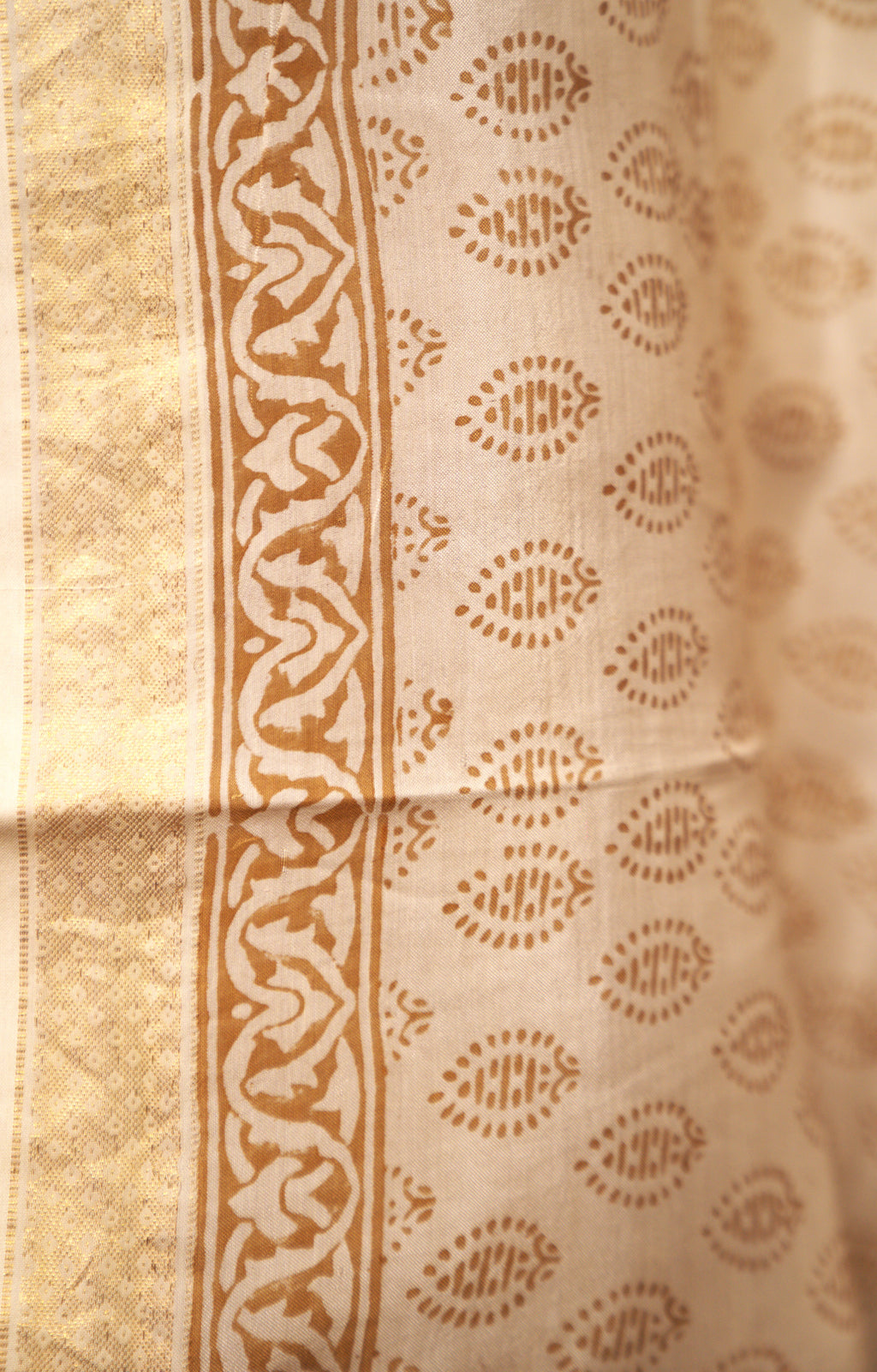 Sutrā  Sari in White & Gold
