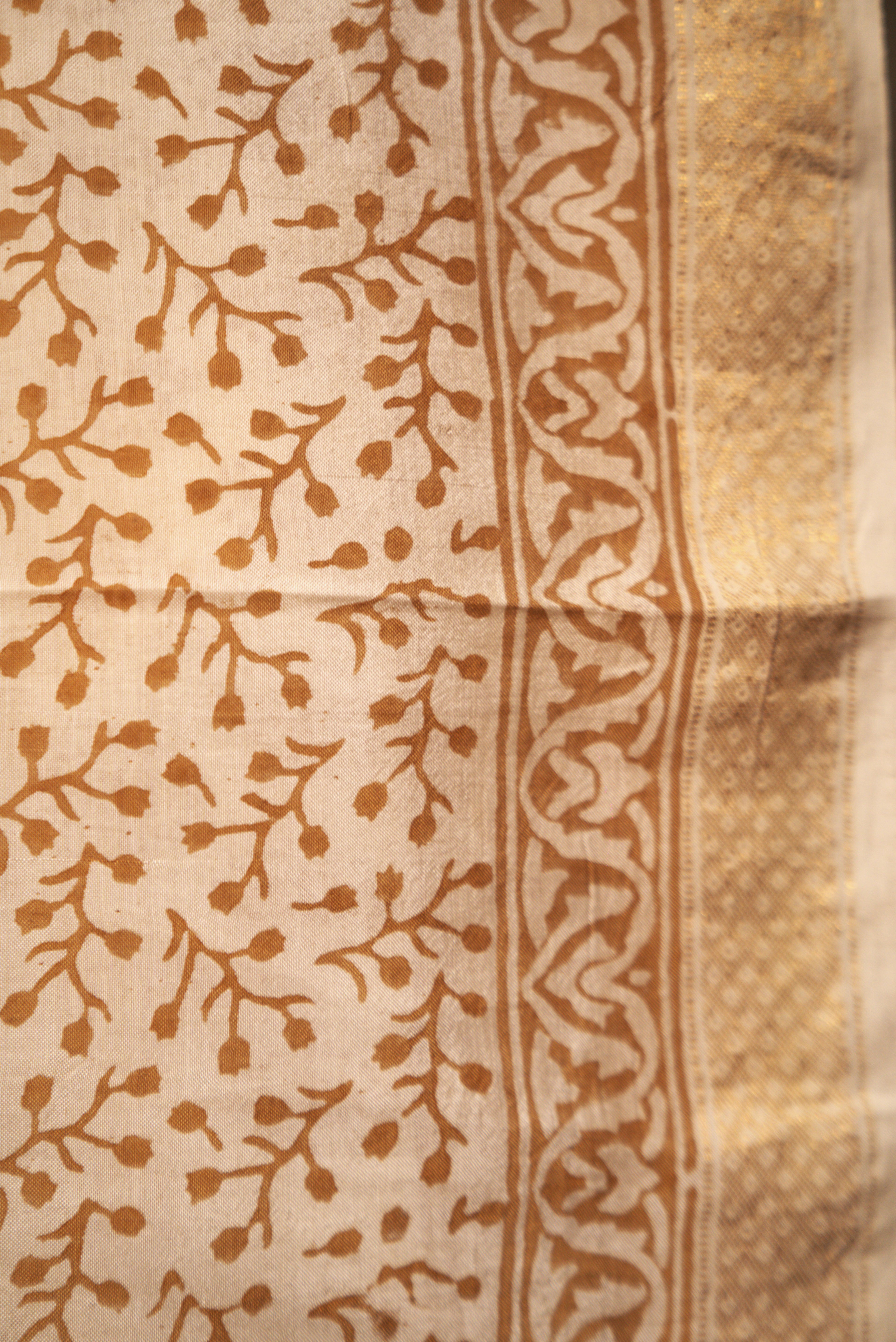 Sutrā  Sari in White & Gold